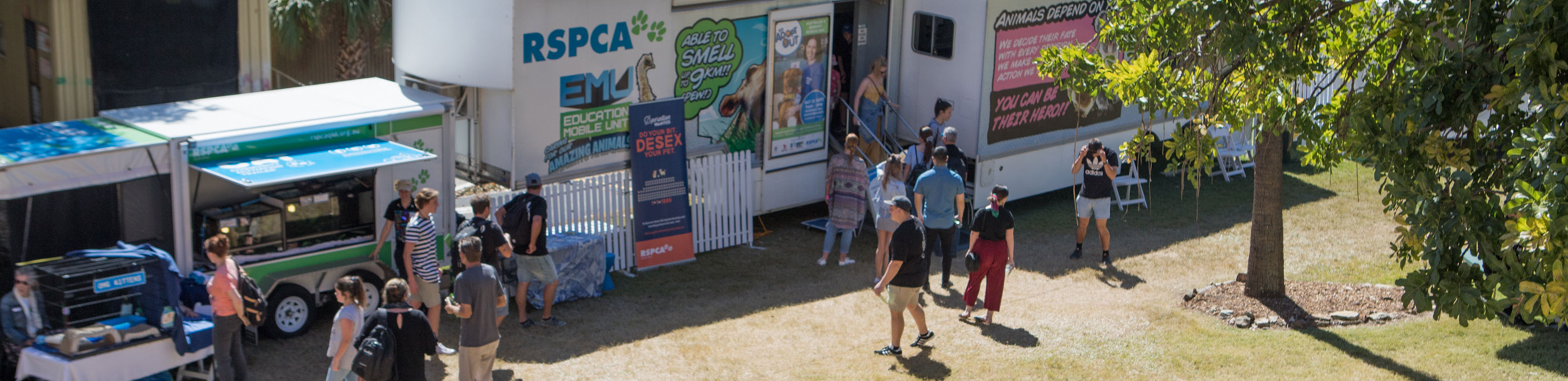 rspca queensland EMU educating children about animal welfare